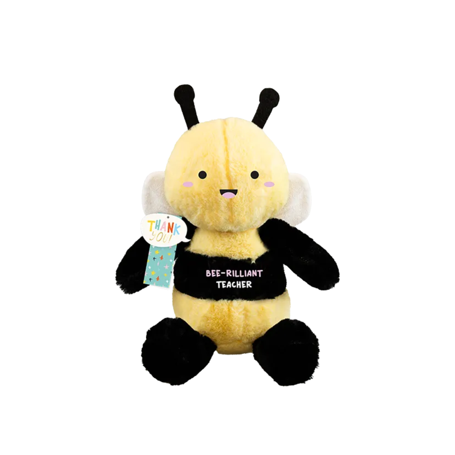 Best Teacher Plush Apple Toy