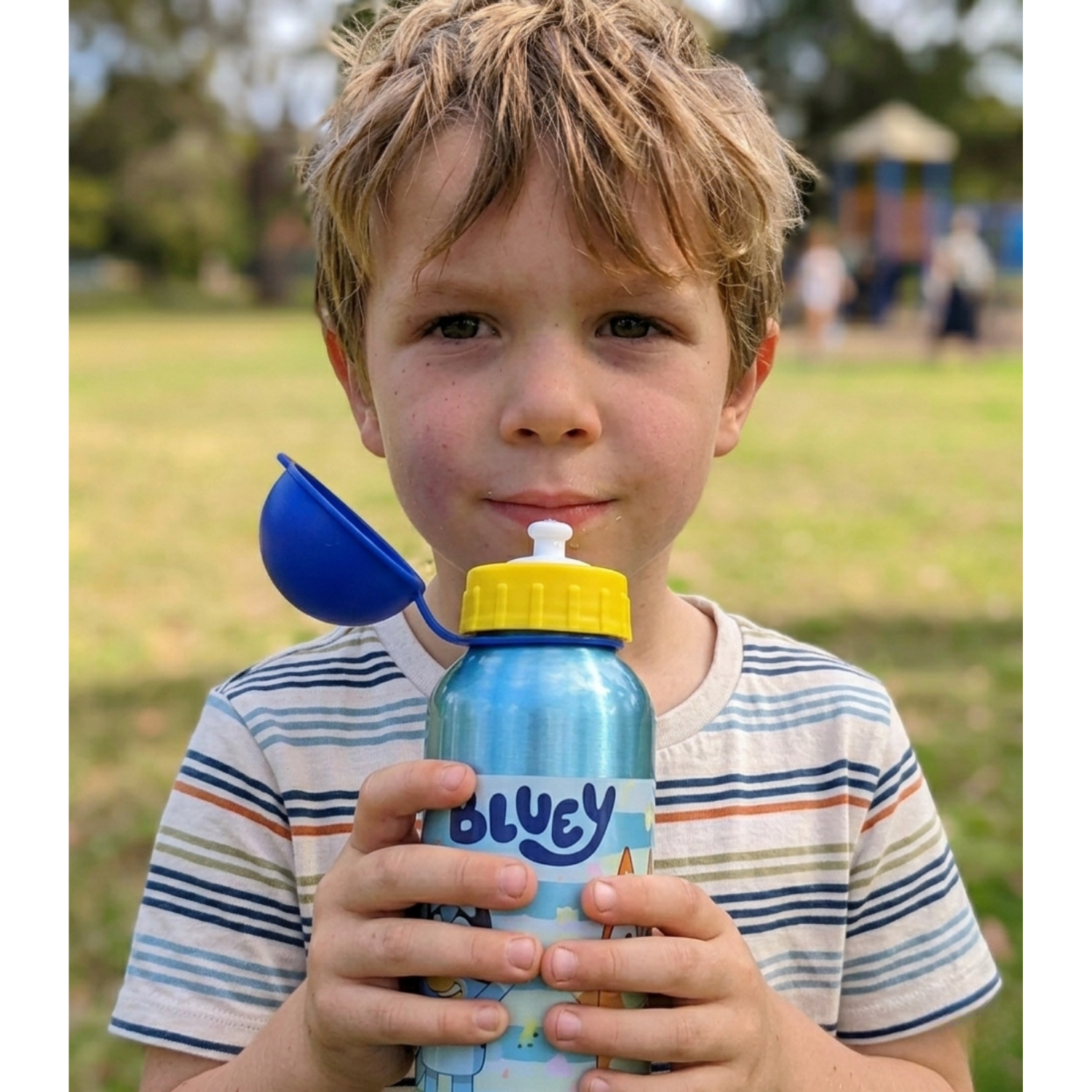 Aluminium Water Bottle 530ml - Bluey