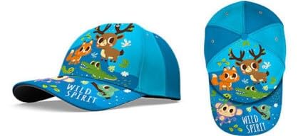 6579668