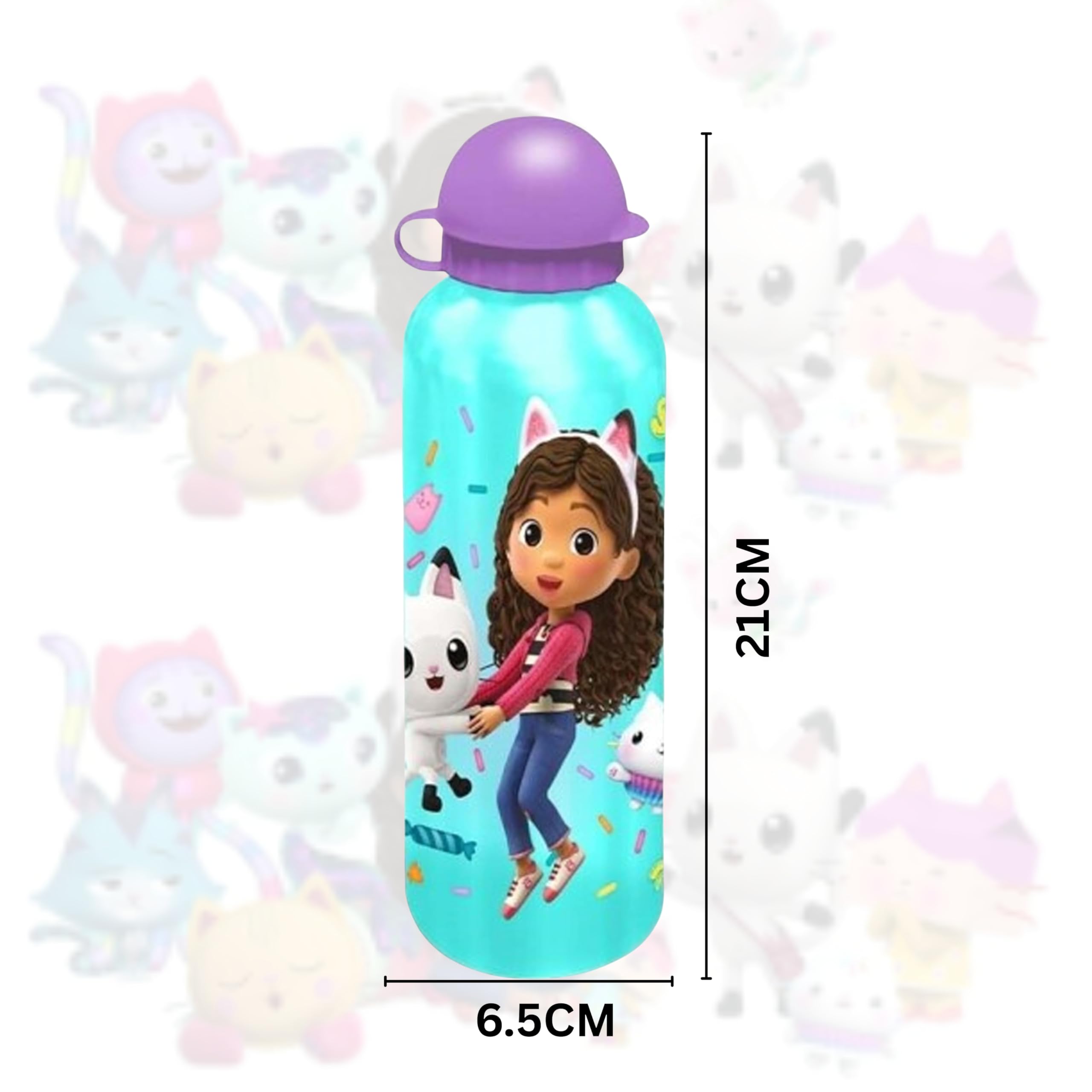 Gabbys Dollhouse Aluminium Water Bottle 500ml