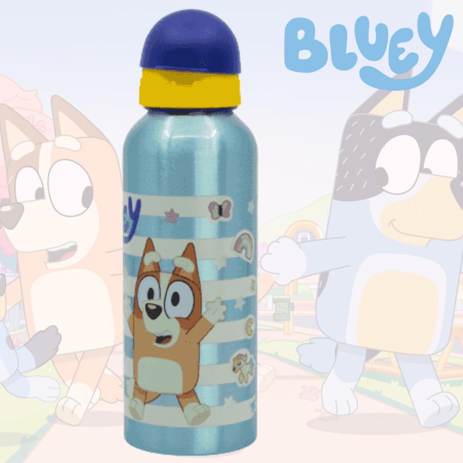 Assorted Character Aluminium Water Bottle 530ml – Lightweight Drinks Bottle for Kids, School, Sports & Travel