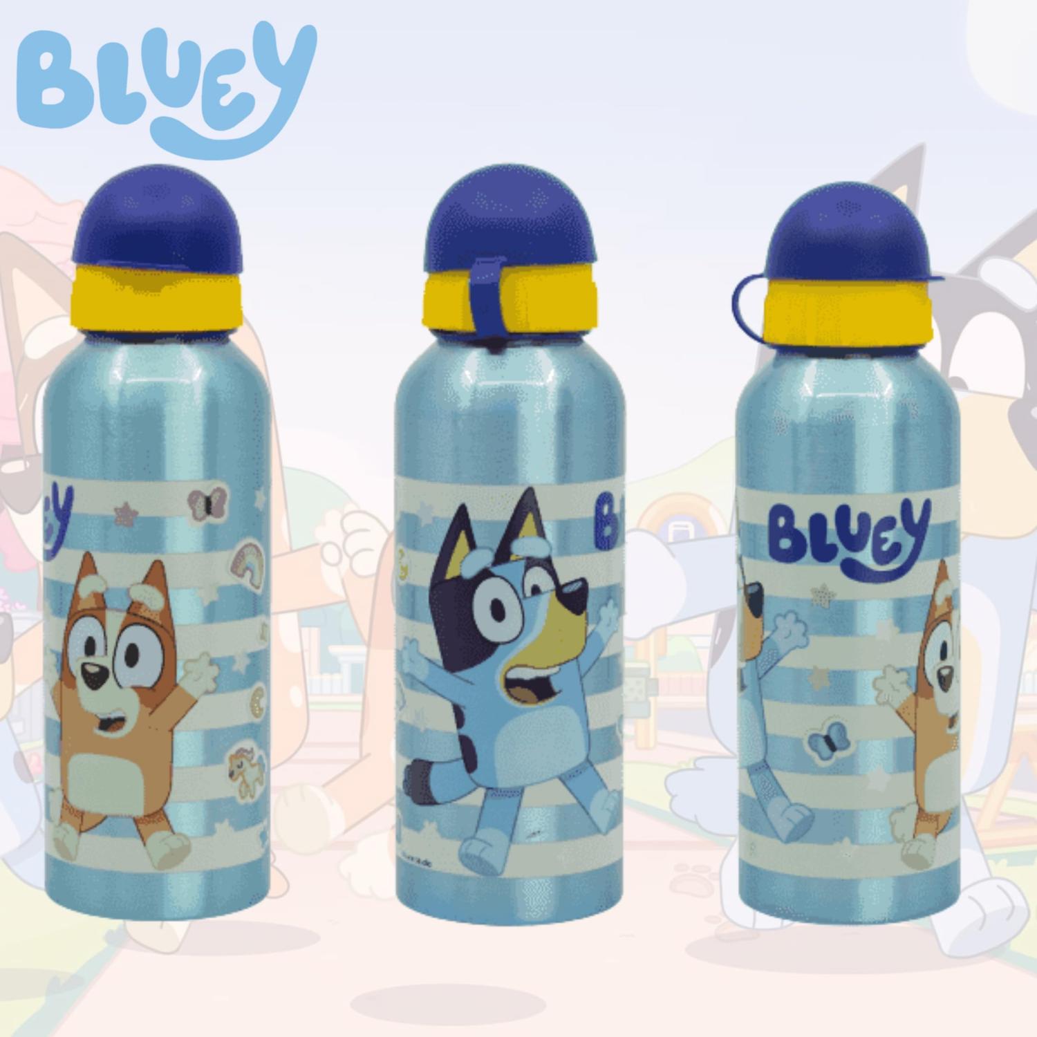 Assorted Character Aluminium Water Bottle 530ml – Lightweight Drinks Bottle for Kids, School, Sports & Travel