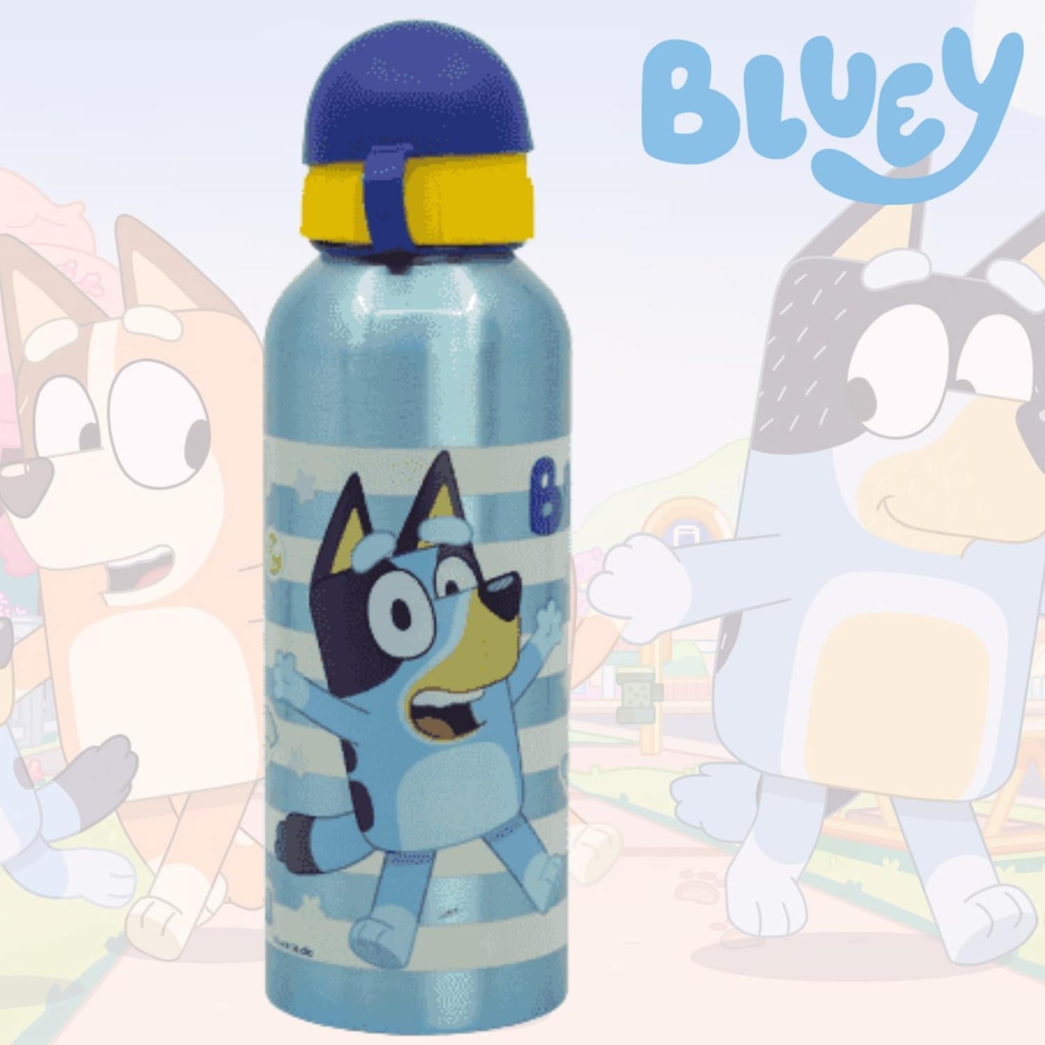 Aluminium Water Bottle 530ml - Minecraft