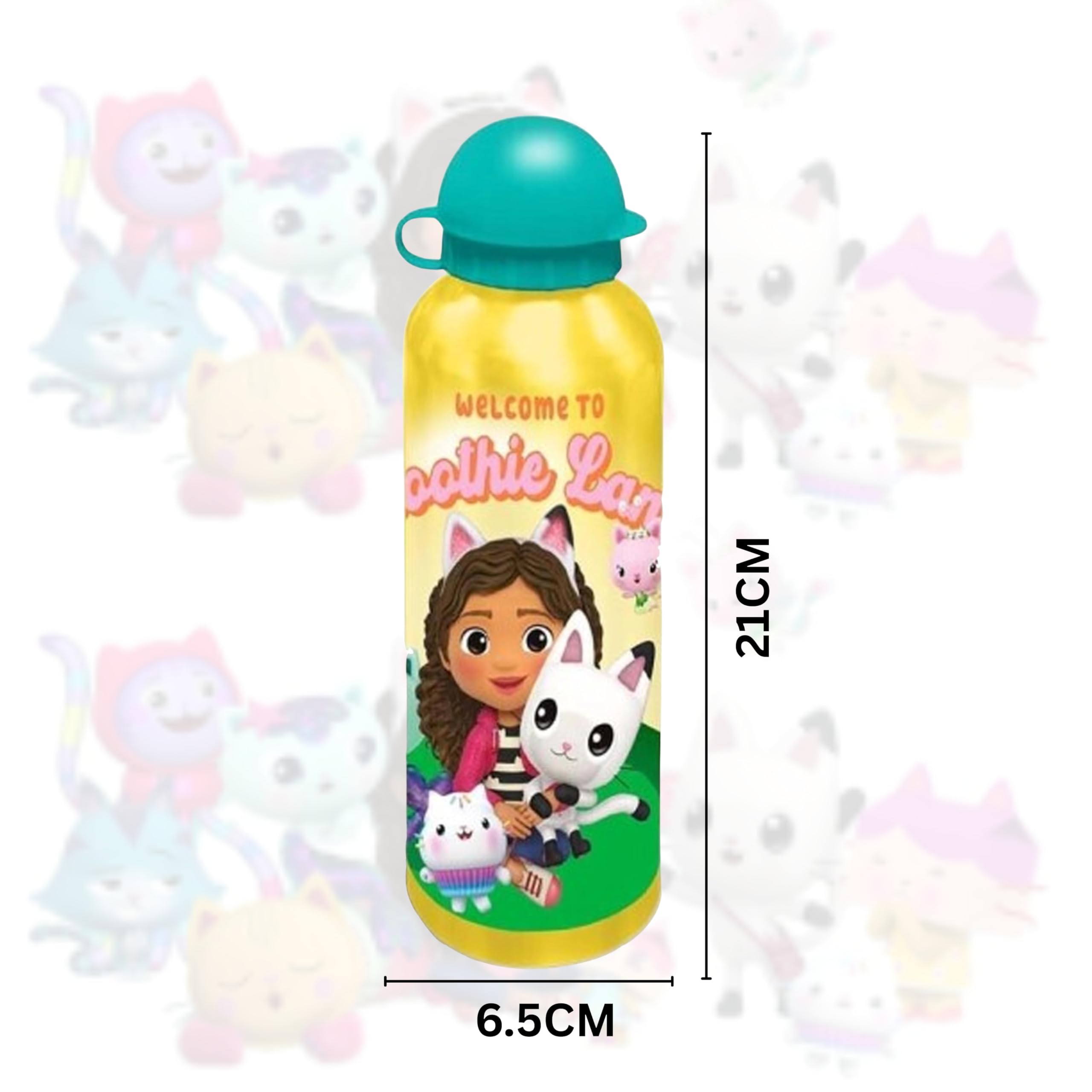 Gabbys Dollhouse Aluminium Water Bottle 500ml
