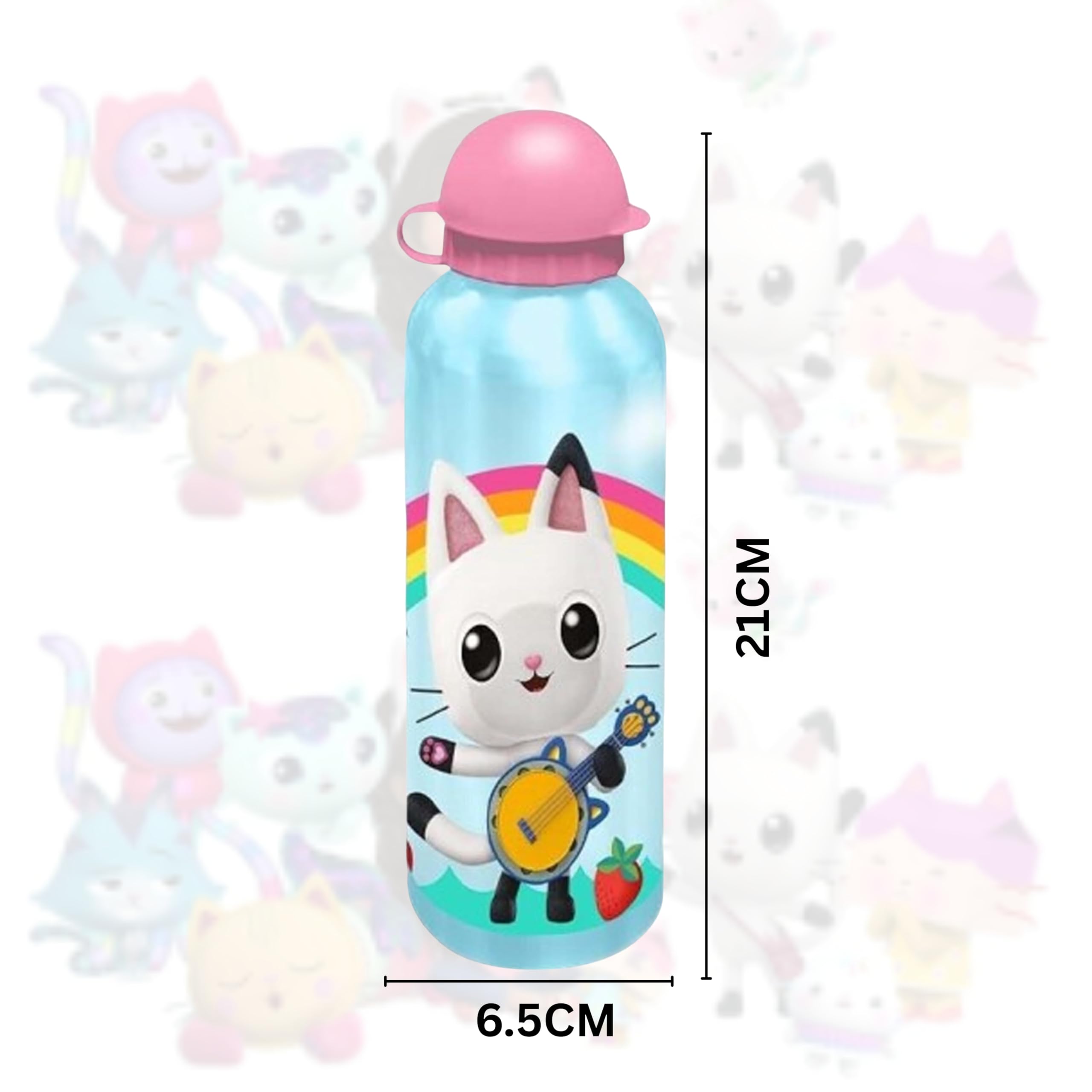 Gabbys Dollhouse Aluminium Water Bottle 500ml