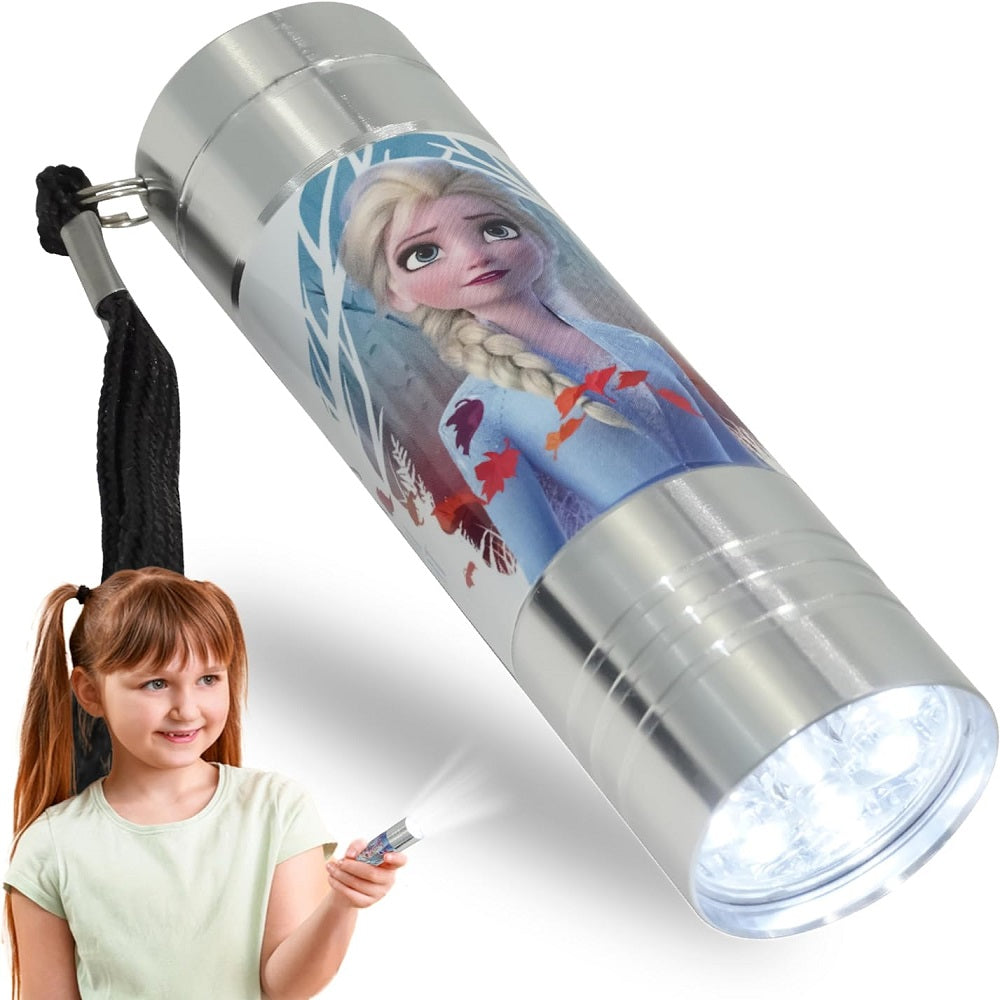 Frozen (Silver) Aluminium 9 LED Torch