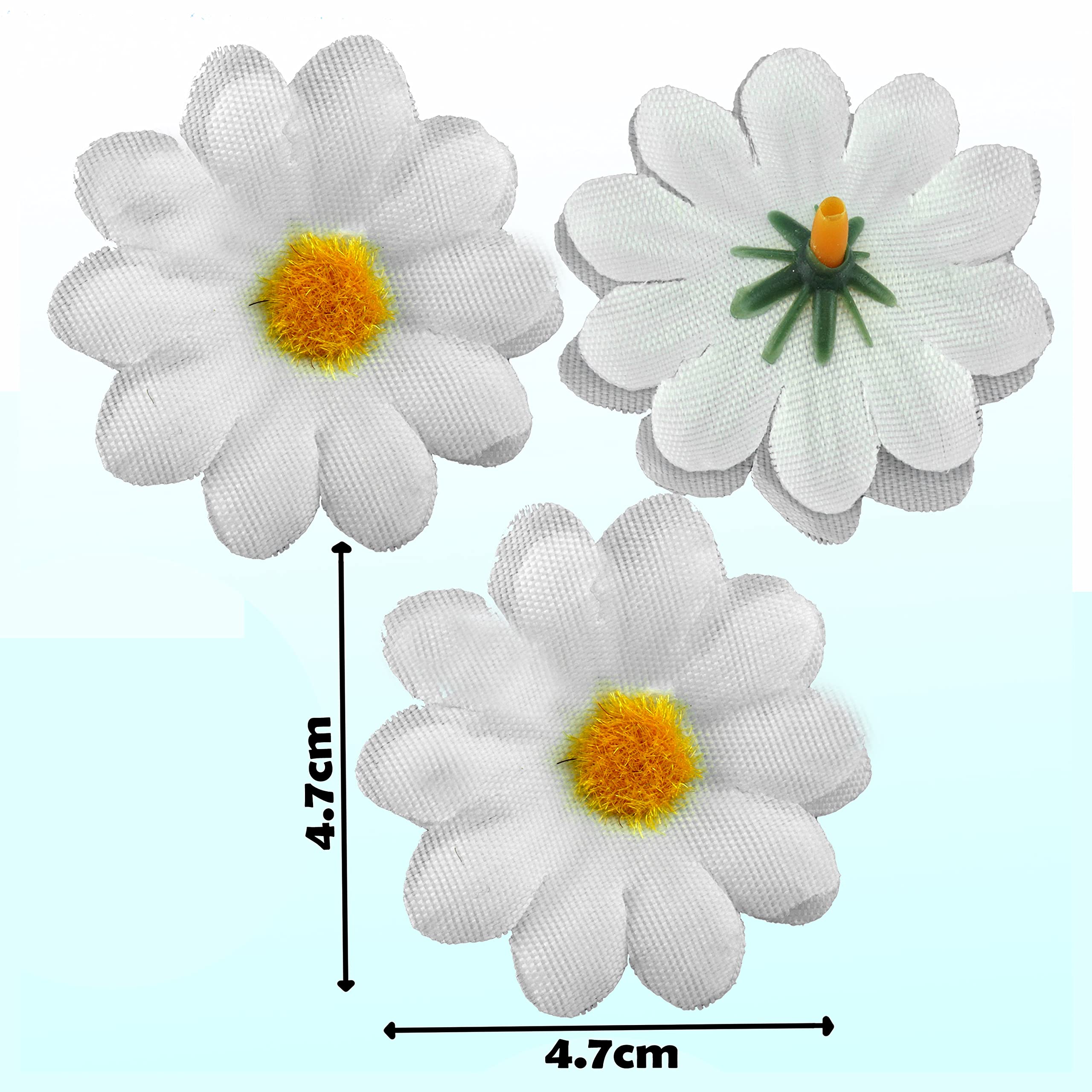6579568