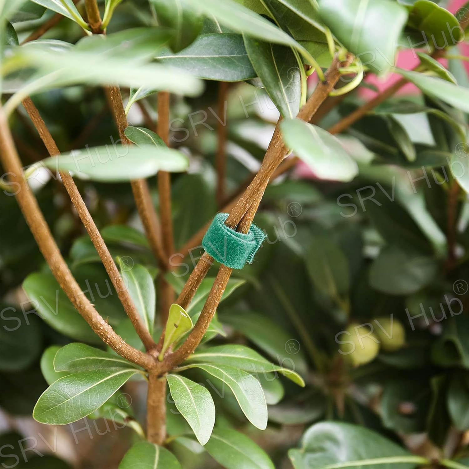 2.5m Self Adhesive Tree Ties Tape