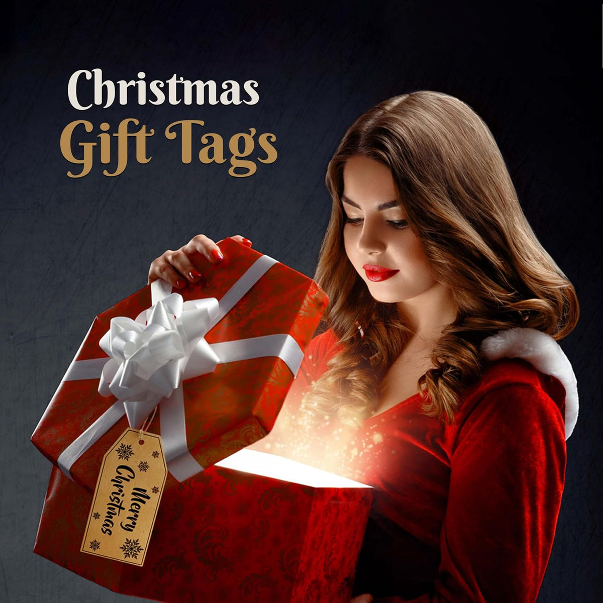 20Pcs Christmas Kraft Gift Tags with Jute String
