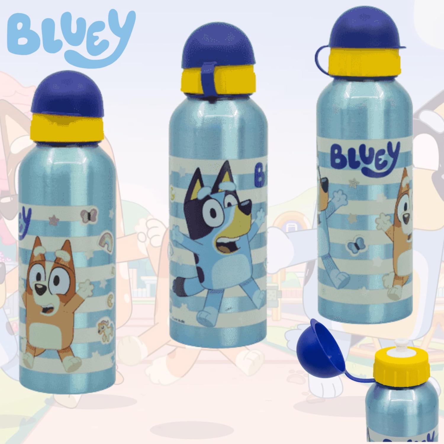 Aluminium Water Bottle 530ml - Paw Patrol