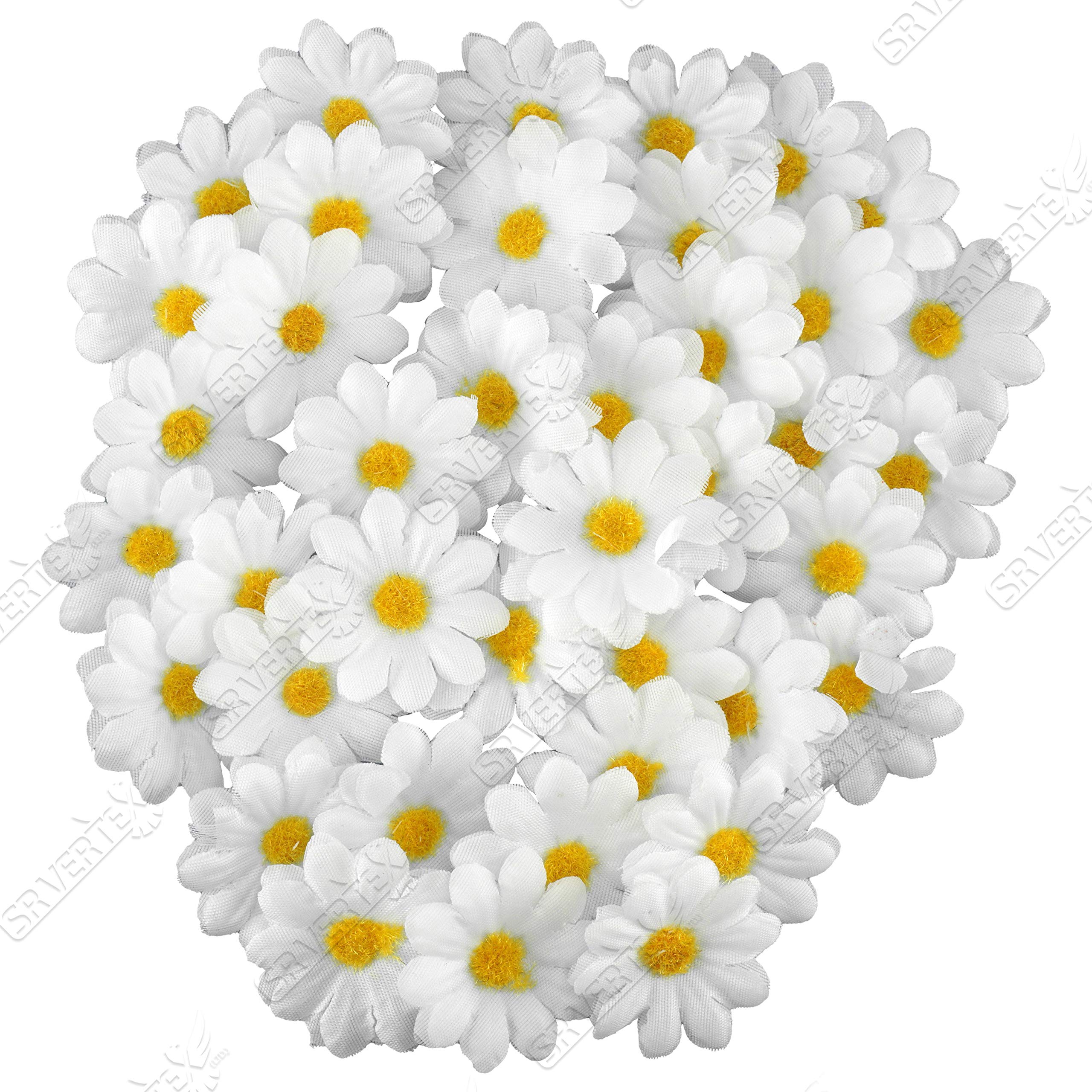 6579568