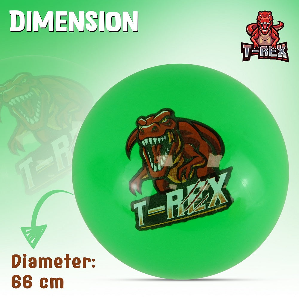Ball 66cm