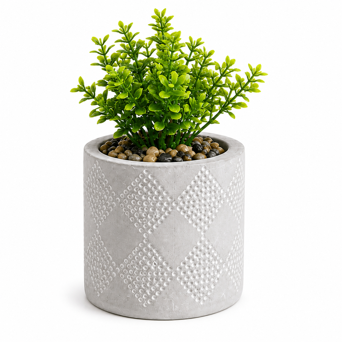 14cm Succulent Flower Pot - Aloevera Plant – view 3