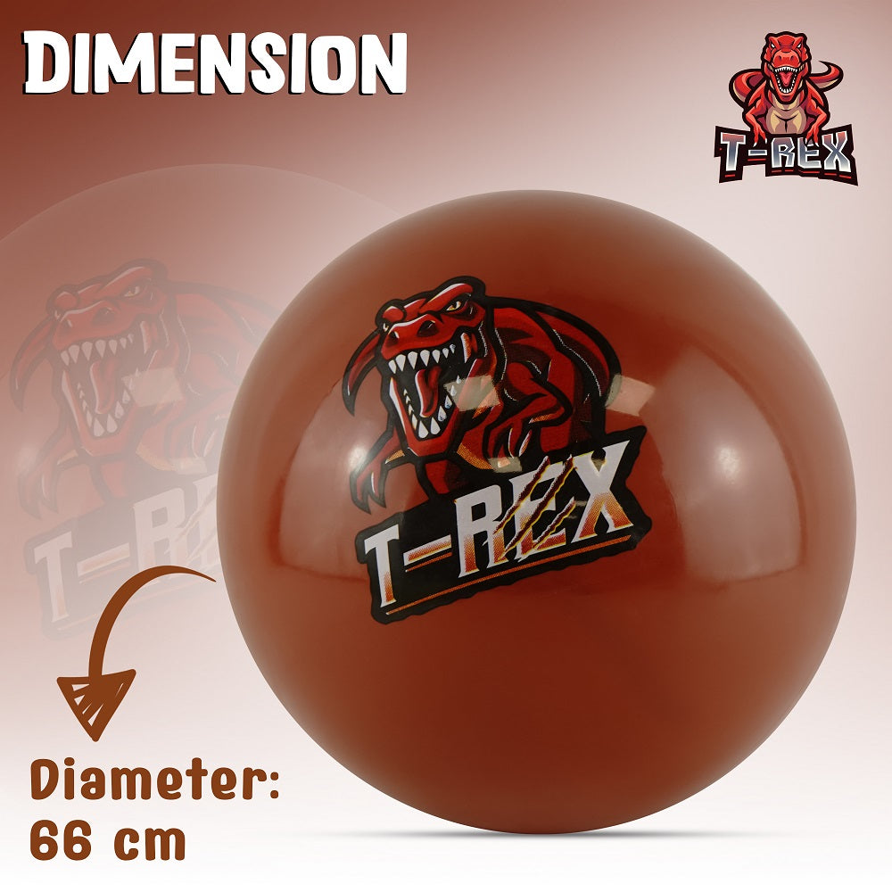 Ball 66cm