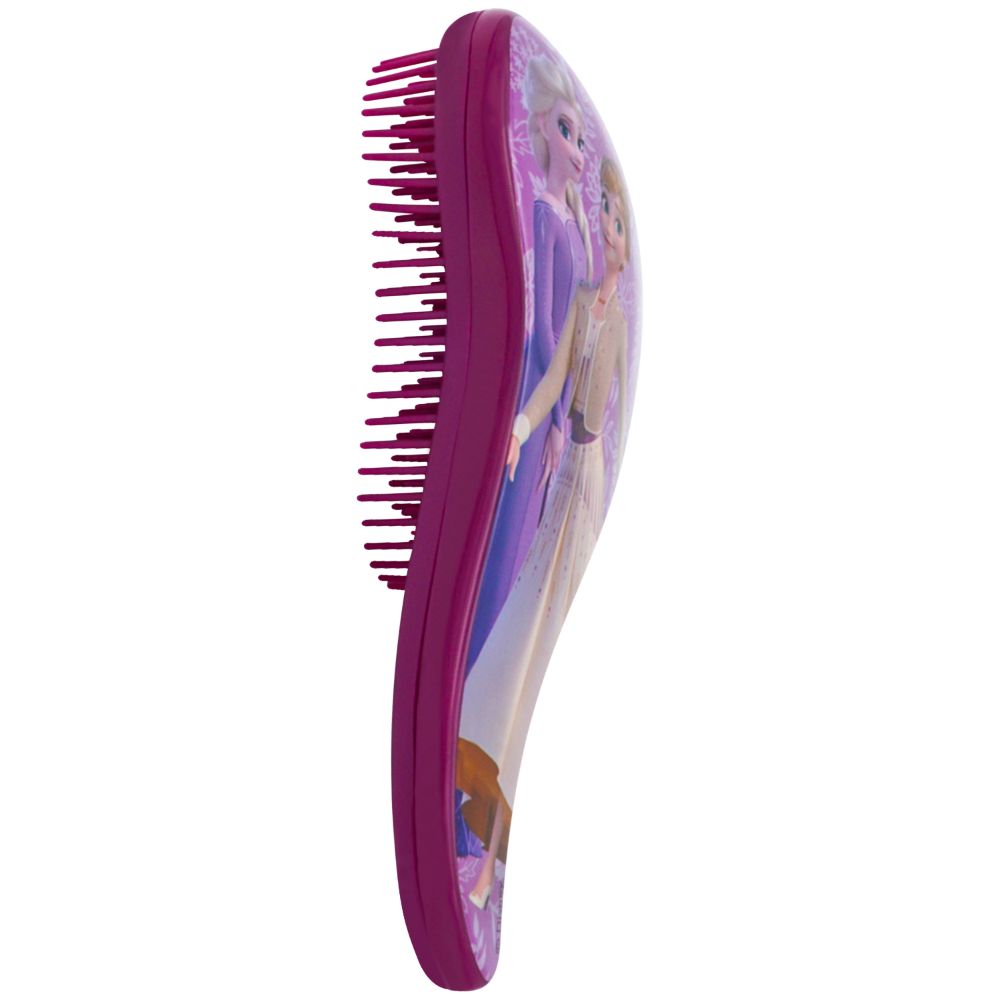 Frozen Hair Brush