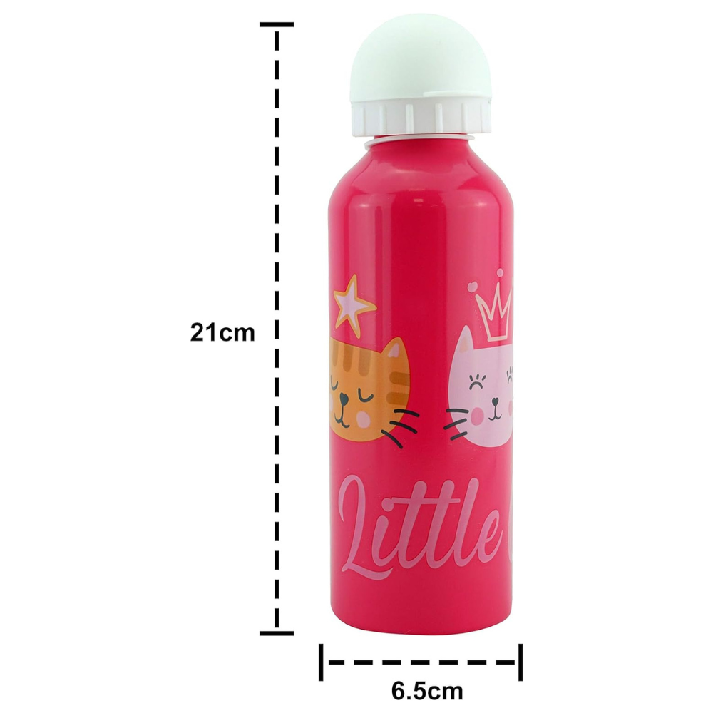 Aluminium Water Bottle 500ml