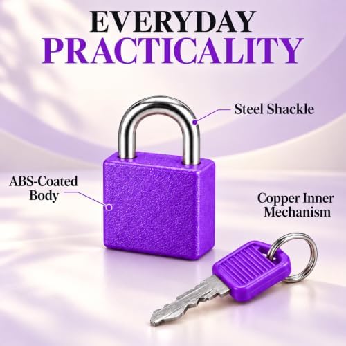 2Pack Mini Suitcase Locks with Keys