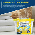 Fragranced Dehumidifier