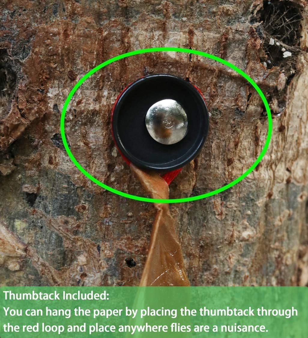 8x Flying Insect Paper Dual Sided Trap