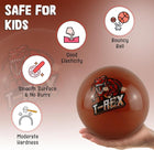 9in Inflatable Dinosaur Ball Random Colour