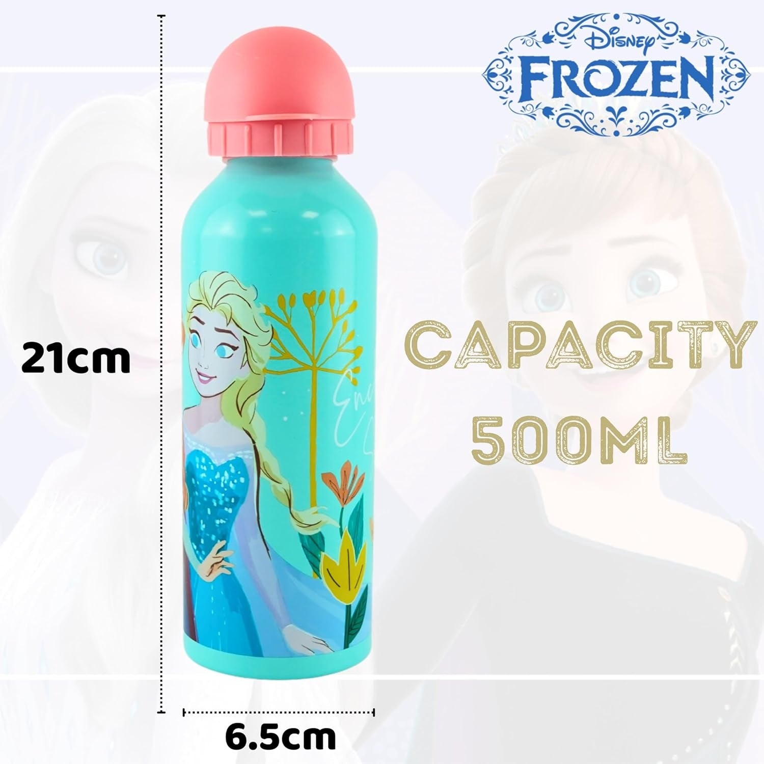 Disney Frozen Aluminium Water Bottle 500ml