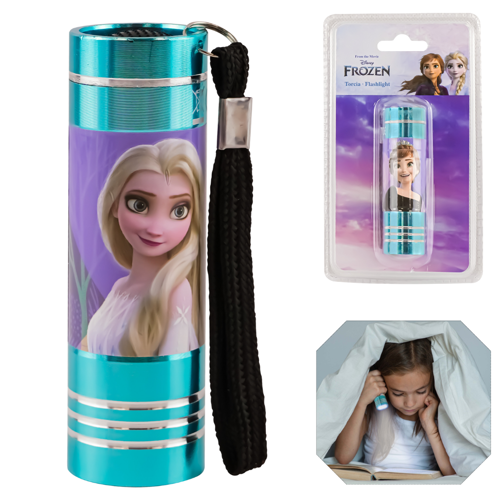 Frozen LED Flashlight