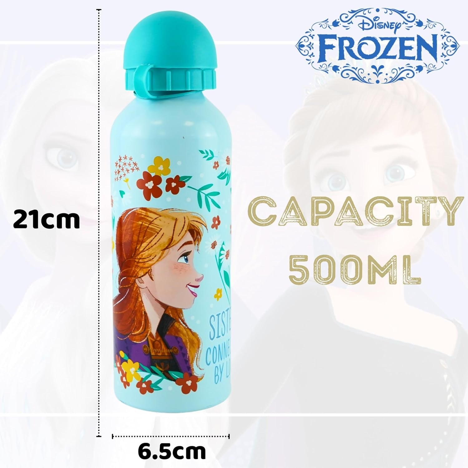 Disney Frozen Aluminium Water Bottle 500ml