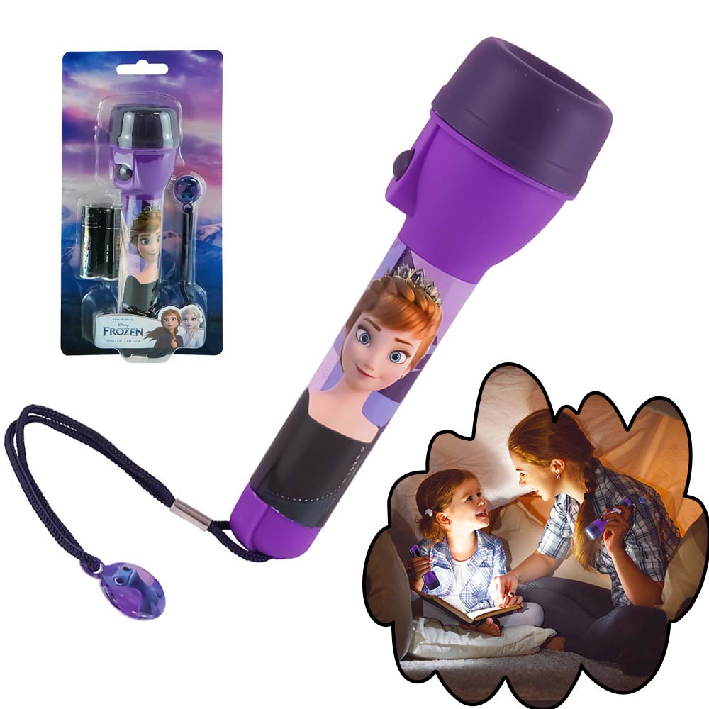 Frozen LED Flashlight