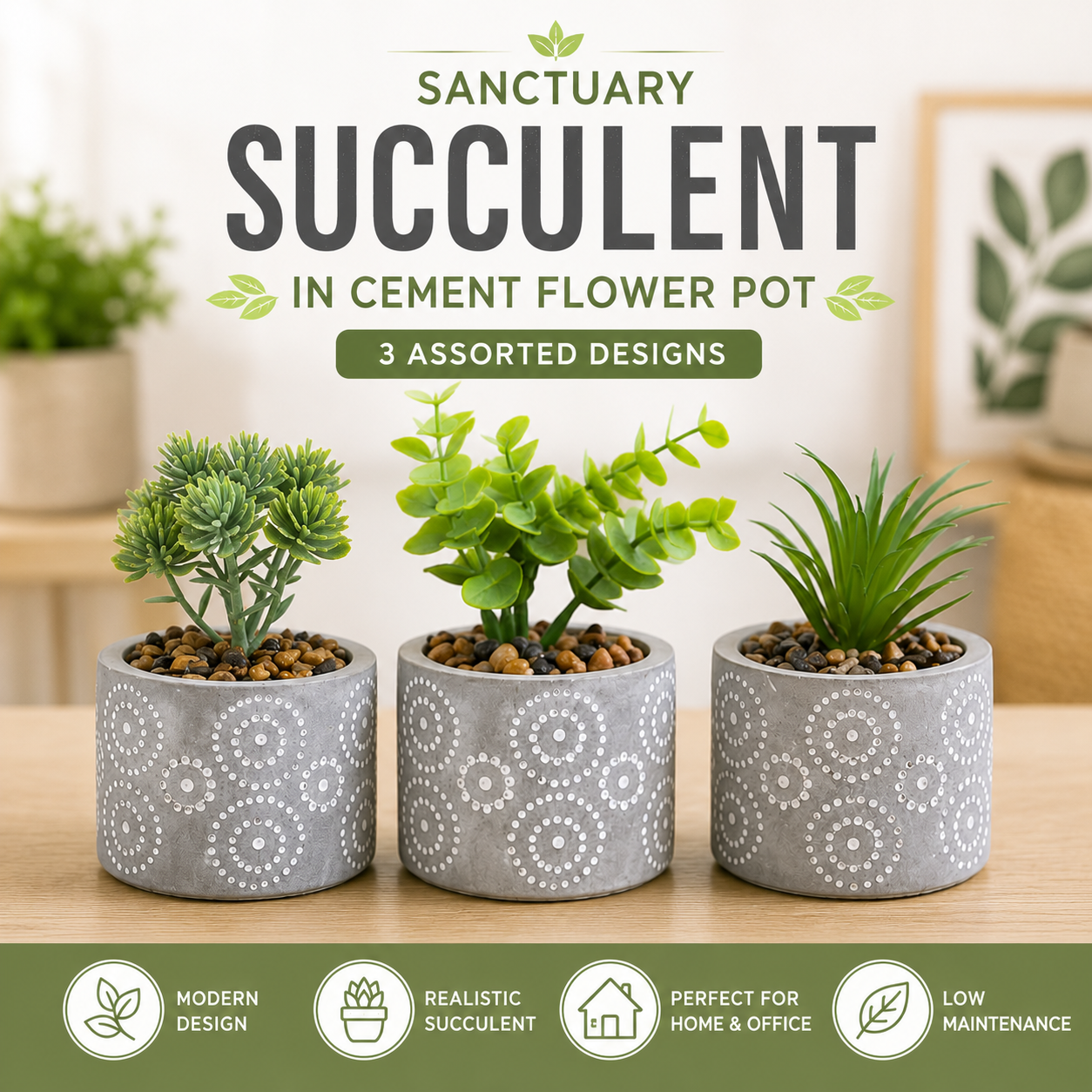 Succulent Flower Pot