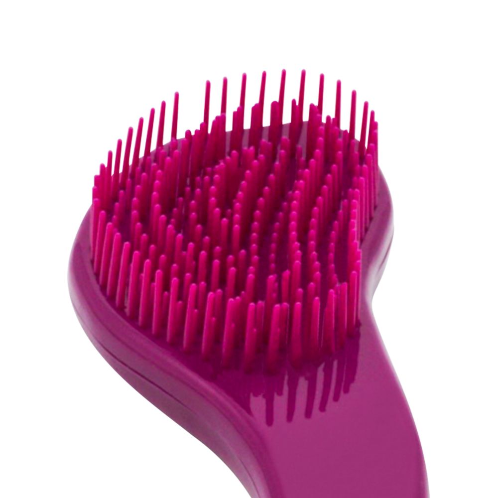 Frozen Hair Brush